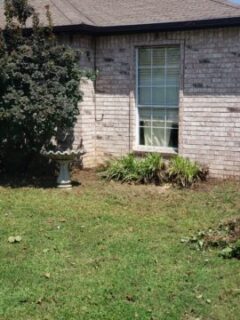 Lawn care services in Broken Arrow, Ok bush removal.