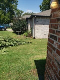 Lawn care services in Broken Arrow, Ok bush removal.