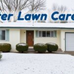 Winter Lawn Care Tips